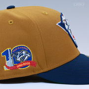 NASHVILLE PREDATORS 10TH ANNIVERSARY 2001-2007 REVERSE RETRO NEW ERA FITTED CAP