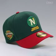 MINNESOTA NORTH STARS VINTAGE HOCKEY EASTERN CONFERENCE NEW ERA FITTED CAP