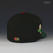 QUAD CITIES RIVER BANDITS THE LEGEND OF ZELDA TOTK EYE OF THE HYNOX NEW ERA FITTED CAP