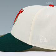 NEW JERSEY DEVILS THE DEVILS LEGION OFF WHITE FIELD GREEN NEW ERA FITTED CAP