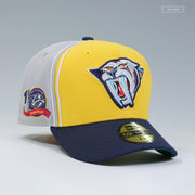 NASHVILLE PREDATORS REVERSE RETRO SABRETOOTH DIAGONAL BLOCK 10 SEASONS NEW ERA CAP