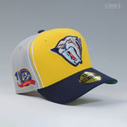 NASHVILLE PREDATORS REVERSE RETRO SABRETOOTH DIAGONAL BLOCK 10 SEASONS NEW ERA CAP