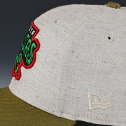 DAYTONA TORTUGAS TMNT MASTER SPLINTER INSPIRED NEW ERA FITTED CAP