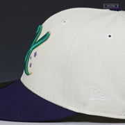 CHARLOTTE KNIGHTS X UPTOWN KNIGHTS THEME NIGHT AIR JORDAN V GRAPES NEW ERA HAT