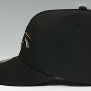 SCOTTSDALE SCORPIONS COME HERE! GET OVER HERE! SCORPION INSPIRED NEW ERA FITTED CAP