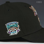 WISCONSIN TIMBER RATTLERS 20 SEASONS 2001 DBACKS COLORWAY NEW ERA FITTED CAP