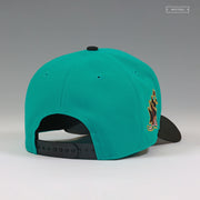 COLUMBUS CLIPPERS X VELEROS COPA SOUTH BEACH LEBRON 8 9FIFTY A-FRAME NEW ERA SNAPBACK