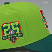 SACRAMENTO RIVER CATS 25TH ANNIVERSARY TMNT II SECRET OF THE OOZE INSPIRED NEW ERA HAT