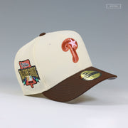 PHILADELPHIA PHILLIES 1996 ALL-STAR GAME BLEACH SHUNSUI KYŌRAKU INSPIRED NEW ERA CAP