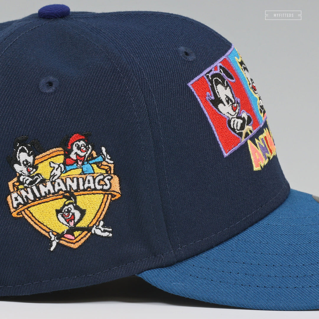 Vintage shops 90s Animaniacs Snapback Hat Cap Blue / Suede Brim NWT Warner Bros